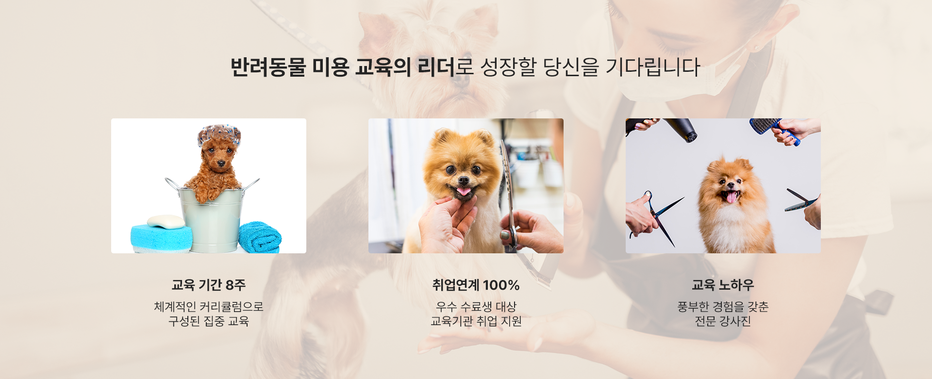 리더기다림