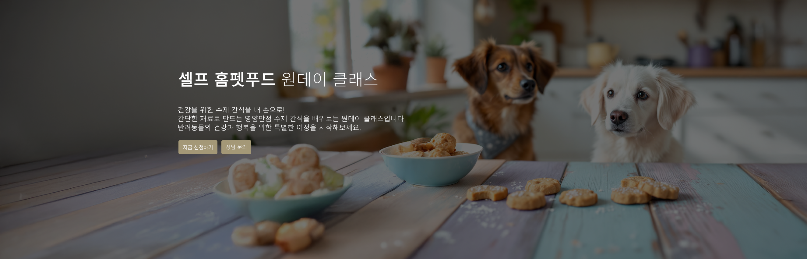 셀프 홈펫푸드 원데이 클래스