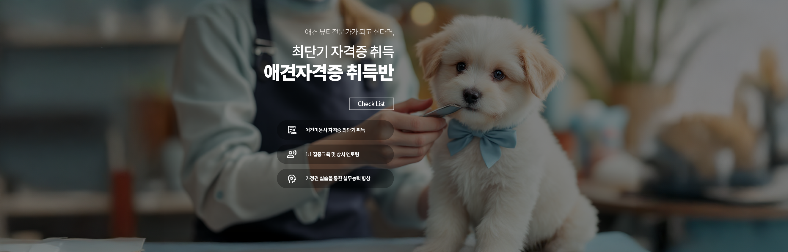 메인 배너