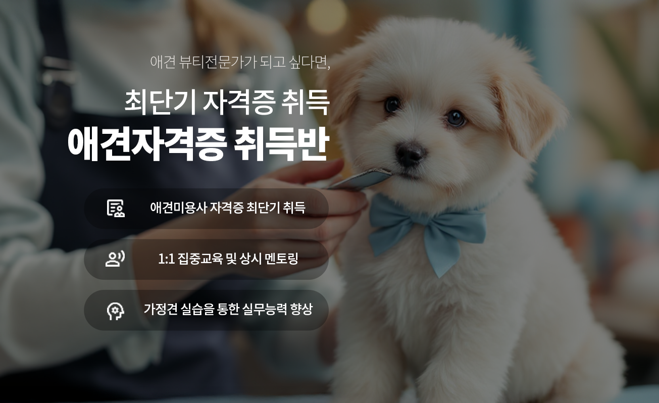 메인 배너
