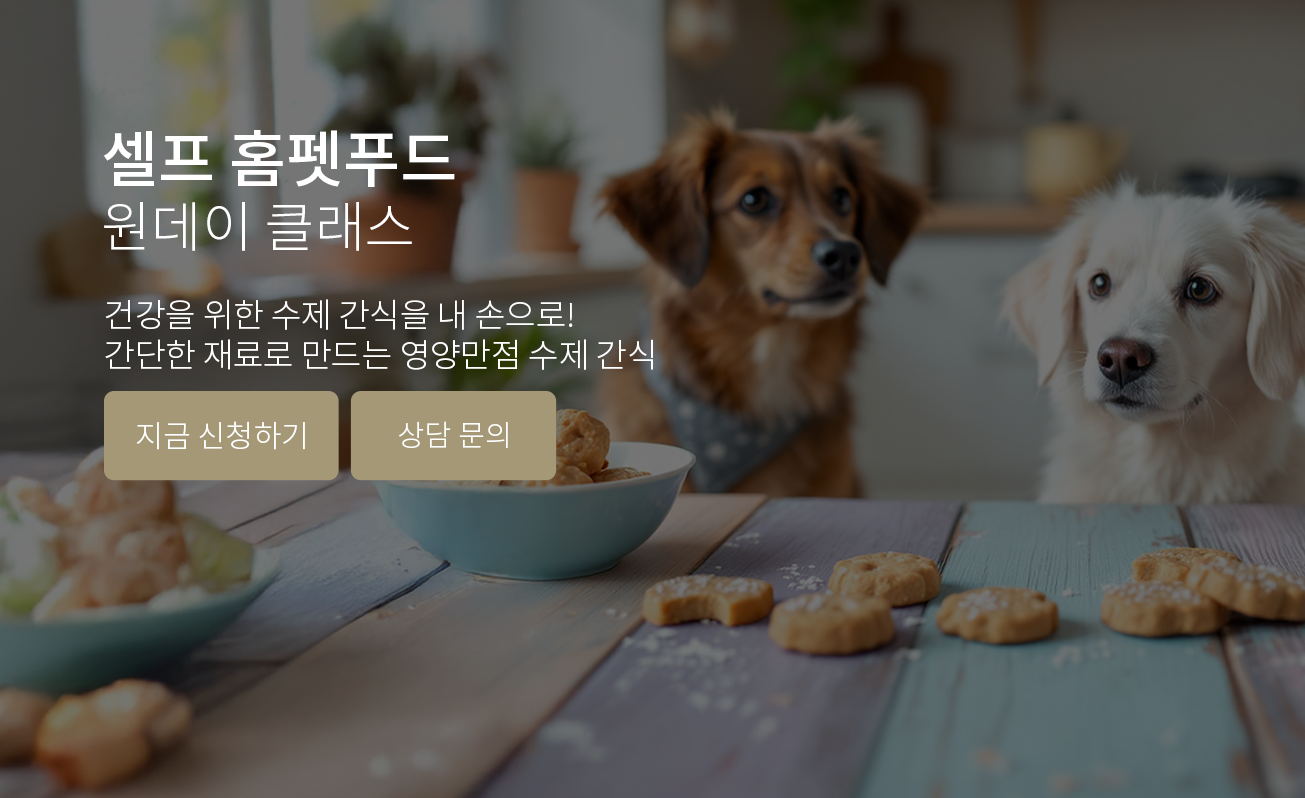 셀프 홈펫푸드 원데이 클래스